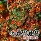 董小七 香椿辣椒醬香椿芽香辣夾饃拌面醬拌飯醬下飯菜醬 香椿辣椒醬【加辣】 兩瓶【實(shí)惠裝】