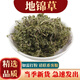 祁桂堂 地錦草 500克 中藥材臥蛋草 奶草血見愁 血風(fēng)草 地錦草500克