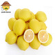 uncle lemon四川特產(chǎn)黃檸檬新鮮水果安岳小檸檬皮薄多汁一顆奶茶店榨汁產(chǎn)地 6個(gè)裝(單果重量60g左右)