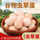 我老家農(nóng)家養(yǎng)現(xiàn)撿新鮮初生蛋谷物柴雞蛋盒裝 高質(zhì)量蟲草蛋40枚1950g