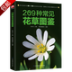 家庭種花養(yǎng)花鑒賞圖鑒認(rèn)識常見花草植物花卉書籍一花一世界一草一天堂身邊花草樹木速查圖鑒 209種常見花草圖鑒 定價39.8