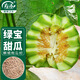 壽禾 綠寶甜瓜種子苗脆甜香瓜春季水果種籽 濰育綠寶甜瓜種子50粒*2袋