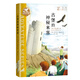 布萊頓少年冒險(xiǎn)團(tuán)2：古堡的神秘來(lái)客【J.K.羅琳推薦！陪伴萬(wàn)千孩子長(zhǎng)大的經(jīng)典冒險(xiǎn)故事！】 