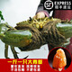 【活鮮】青蟹三門縣鮮活螃蟹一斤一只大公蟹肉蟹菜鱘海鮮螃蟹禮盒 2只大母膏蟹共2斤【1只1斤左右】