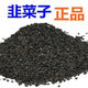 韭菜種子紫根寬葉蔬菜種子庭院陽臺盆栽易種四季可播種可多次收割 原裝【約1000?！?紫根韭菜種子
