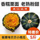 風車車農(nóng)場貝貝南瓜 板栗味小南瓜 老面南瓜 金絲栗瓜 8斤（單果150-250g）