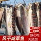 全江 風(fēng)干咸魚(yú)青草魚(yú)塊咸魚(yú)干安徽特產(chǎn)臘魚(yú)干黃山臘味咸草魚(yú)干貨日曬 400g*2袋