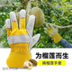 榴蓮水果店剝榴蓮手套雙層防切割耐磨園林月季玫瑰花手套防刺防扎 防護牛皮大口手套1雙