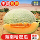 探味君 海南哈密瓜 應當季時(shí)令香甜網(wǎng)紋瓜新鮮水果整箱帶箱 【熱賣(mài)裝】?jì)糁?.5-4.99斤