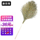 康麗雅 K-0082 木柄大掃把 環(huán)衛(wèi)竹掃把戶外大號笤帚掃帚馬路掃 木柄5斤-5把裝