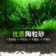 陶粒砂水族箱陶瓷沙水草泥營養(yǎng)能源種植土基肥料魚缸造景底砂黑泥 陶粒2斤