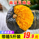 蔬農(nóng)聯(lián)貝貝南瓜 板栗味小南瓜 粉糯香甜 健康輕食 嚴(yán)選4.5斤