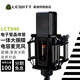 萊維特（LEWITT）LCT940電子管晶體管電容麥克風 電腦手機直播 主播錄音配音 專業(yè)錄音棚話筒 萊維特LCT940麥克風單品 音頻設(shè)備
