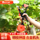 邁越綁枝機(jī)西紅柿綁蔓槍黃瓜葡萄綁枝蔓器獼猴桃綁枝器材 25代綁枝+20個(gè)加厚膠帶+1盒釘子