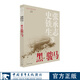 黑駿馬張承志史鐵生鄒靜之王松袁敏當(dāng)代新經(jīng)典文庫(kù)知青小說系列