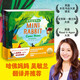 【點(diǎn)讀版圖書】迷你兔你可以全3冊 精裝硬殼中英雙語繪本 mini rabbit愛攀比的迷你兔快回家 英語啟蒙讀物 點(diǎn)讀書(支持小雞球球豚小蒙 點(diǎn)讀筆需另外購買) 生日禮物 心喜閱童書六一兒童節(jié)禮物
