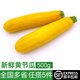綠食者 新鮮黃節瓜500g 黃西葫蘆黃茄瓜毛瓜 新鮮蔬菜