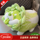 LittleCuCu蔬菜精靈菜狗娃娃抱枕睡覺(jué)玩偶白菜狗公仔毛絨玩具女友小孩禮物 經(jīng)典蹲姿公仔45厘米 帶防偽標，尺寸以吊牌為準