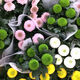 波思菊種子   200粒乒乓菊雛菊花種子 盆栽鮮花植物陽臺室內(nèi)四季易種花卉籽種 混色乒乓菊300粒【店長】