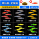 斑馬魚(yú)活體網(wǎng)紅好養金魚(yú)冷水大號七彩熒光紅藍淡水小型熱帶觀(guān)賞魚(yú) 【全家?！苛N顏色/每種5條/送5