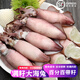 道樓鮮閣東山島滿籽海兔小管海鮮水產(chǎn)鮮活冷凍筆管魚全籽烏賊八爪魚海兔子 2斤