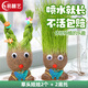 易囍藝長(cháng)草娃娃澆水草頭娃娃可愛(ài)迷你植物小盆栽幼兒園兒童創(chuàng  )意禮物水培 長(cháng)草娃娃2個(gè)+托盤(pán)2個(gè)