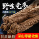 健頤年野生黨參甘肅岷縣級深山采挖25年大條特級黨參當參泡水煲湯 稀有野生黨參王16-20條 一斤 250克