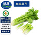 聽(tīng)蔬 有機西芹3斤5斤9斤 清香芹菜現采摘有機認證蔬菜無(wú)農殘榨汁食材 5斤裝榨汁西芹