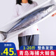 漁哥戲魚(yú)鲅魚(yú)銷(xiāo)量5萬(wàn)+條 青島大鲅魚(yú)送禮禮盒鲅魚(yú)整條海魚(yú)馬鮫魚(yú)冷凍鮮活 13斤裝/1條