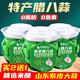齊魯新農(nóng)人正宗臘八蒜醋泡蒜翡翠綠蒜山東特色2024新鮮泡大蒜頭罐裝密封腌制 精品【特產(chǎn)臘八蒜】500g*3瓶