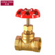 鴻櫻 黃銅絲扣截止閥自來(lái)水管開(kāi)關(guān)內螺紋水表前總閥門(mén)雙內絲截止閥 6分DN20截止閥
