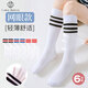 棉十三小腿襪夏季薄款網(wǎng)眼透氣精梳棉長(cháng)筒過(guò)膝學(xué)生女童襪子純色高筒6雙