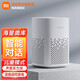 小米（MI） AI音箱play藍牙wifi小愛同學人工語音遙控智能鬧鐘小艾網絡迷你音響IOT22B 小米小愛音箱 Play