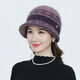 浩冠 帽子女中老年加絨保暖老年人奶奶兔毛老人帽秋冬季送媽媽的生日禮物毛線(xiàn)帽圍巾套裝 淺紫（只有帽子） 均碼