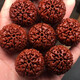智初 精挑尼泊爾大金剛菩提子手串爆肉沉水姜黃皮新籽原籽七八瓣佛珠 8瓣20-22mm11顆【精品樹王籽】