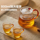 憶壺茶泡茶壺玻璃茶具茶水分離煮茶壺大容量喝茶套裝圍爐耐熱紅花茶器