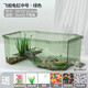 寵尚天 烏龜缸別墅生態(tài)飼養箱小烏龜活物活體龜盆巴西龜寵物龜中華草龜 中號33*23*12飛船缸綠+大禮包+龜
