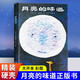 【系列自選包郵】清華附小學(xué)校推薦一二年級課外書(shū)閱讀必讀繪本 猜猜我有多愛(ài)你 爺爺一定有辦法 蚯蚓的日記 落葉跳舞 逃家小兔 我爸爸 我媽媽買(mǎi)綠豆 團圓 青蛙和蟾蜍 小豬唏哩呼嚕抱抱  拼注音版可選 月