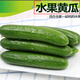 京鮮生 山東水果小黃瓜凈重5.1斤單果80g+ 健康輕食 源頭直發(fā)