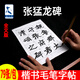 添今堂張猛龍碑全文版魏碑毛筆字帖描紅名品臨摹放大宣紙書法專用作品半生熟毛筆練習(xí)紙初學(xué)者毛筆字練習(xí)楷書
