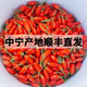 杞遇客2025年寧夏中寧頭茬大果鮮枸杞現(xiàn)摘新鮮枸杞子 大顆粒鮮枸杞水果 250克(125g*2盒/一箱)