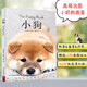 治愈系科普圖鑒：小狗 關(guān)于狗狗的書鑒賞圖典名犬鑒賞百科全書犬種大圖鑒名犬世界名狗圖鑒