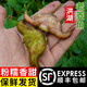藕荷泥（OUHENI）現(xiàn)摘洪湖新鮮菱角老菱角黑菱角青菱角米新鮮粉糯湖北特產(chǎn)生鮮棱角 精品老菱角4斤 順豐保鮮發(fā)貨