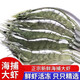 大蝦鮮活新鮮冷凍大蝦海捕大蝦基圍蝦對蝦青蝦白蝦海鮮水產(chǎn) 20厘米左右 3斤(凈重)  4斤渤海大蝦