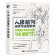 人體結(jié)構(gòu)原理與繪畫(huà)教學(xué)肖瑋春 畫(huà)畫(huà)的春哥  插畫(huà)人物結(jié)構(gòu)造型繪畫(huà)零基礎(chǔ)入門(mén)自學(xué)教材臨摹藝術(shù)冊(cè)集 設(shè)計(jì)教程書(shū)