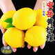 臻亦尚黃檸檬10斤當季新鮮水果精選皮薄香水鮮甜檸檬青整箱 優(yōu)選裝2斤