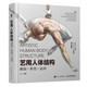 藝用人體結(jié)構(gòu) 解剖形態(tài)運(yùn)動(dòng)（數(shù)藝設(shè)出品）