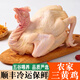 三黃雞農家土雞2只凈重約2.8-3.1斤新鮮冷凍紅燒煲湯食材雞肉生鮮 三黃雞 650-750g *3只
