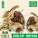 吾家余堂雪蓮干花雪連花 新疆冰山雪蓮干花雪蓮干貨一朵泡酒料 【罕見】雪蓮?fù)鮾糁?朵