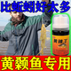 魚(yú)宴黃辣丁餌料黃顙魚(yú)昂刺魚(yú)餌料小藥野釣黑坑黃刺黃骨魚(yú)窩料黃桑餌 1瓶裝【50ml/瓶】濃縮型
